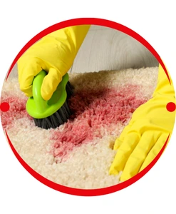 Carpet Stain Removal